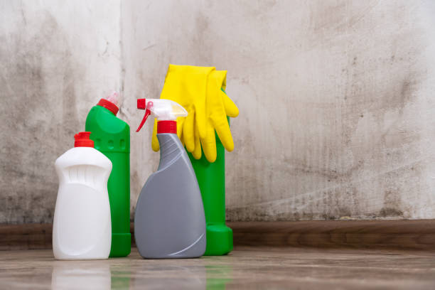 Professional Mold Remediation in Eagle Mountain, UT